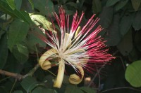 /album/bella-vista-village/bella-vista-village-22-jpg/